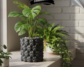 Puede incluir: Una planta de Monstera en maceta con hojas grandes y verdes se encuentra en una maceta gris oscuro texturizada. La maceta tiene un diseño único y con bultos. También se incluyen otras plantas en macetas y el texto "DIGITAL DOWNLOAD".