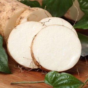 以下が含まれることがあります： 白い果肉と茶色の皮が特徴の、スライスされたヒカマのクローズアップ。緑の葉と木製の柄のナイフも写っています。ヒカマのスライスは木製の表面に配置されています。