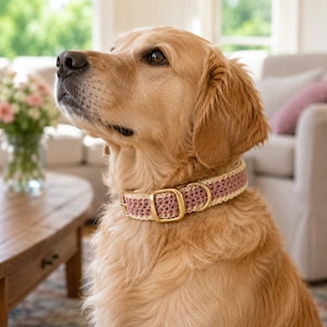 Peut inclure: Un golden retriever portant un collier pour chien composé d'une bande centrale crochetée rose poudré avec des bords crème et une boucle ainsi qu'un anneau en D en métal doré. Le collier présente un aspect texturé et tissé autour du cou.