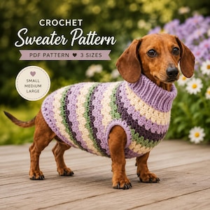 Modèle PDF de pull au crochet pour teckel, col roulé pour chien, tutoriel pour vêtements de chiot