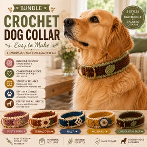 Puede incluir: Un golden retriever lleva un collar de perro de ganchillo marrón con un detalle de hoja verde. Debajo, cinco collares de ganchillo en rosa empolvado, terracota, azul marino, mostaza y chocolate con salvia, con hebillas doradas.