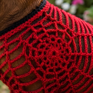 May include: A red crocheted garment featuring an openwork spiderweb pattern with a circular center design. The piece is finished with a solid black crocheted border along the neckline, constructed from yarn with a visible textured stitch.