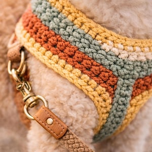 Puede incluir: Primer plano de un arnés para perros de ganchillo colorido. El arnés presenta rayas horizontales en tonos naranja, amarillo y verde. Se ve una correa de cuero marrón y herrajes metálicos dorados. El arnés está sujeto a una correa a juego.