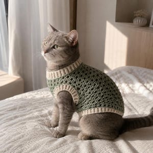 May include: A gray tabby cat wearing a green and cream-colored crochet sweater. The sweater has a textured open weave design. The cat is sitting on a white bedspread near a window with natural light.
