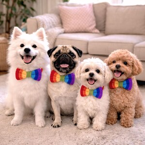 Puede incluir: Cuatro perros de diferentes razas, incluyendo un Samoyedo blanco, un pug, un maltés y un caniche, sonríen a la cámara. Cada perro lleva una pajarita a rayas de arcoíris. Los perros están sentados sobre una alfombra clara.