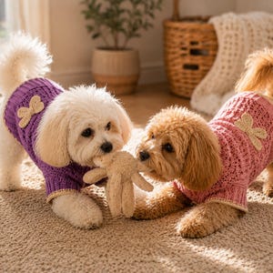 May include: Two small dogs wearing knitted sweaters play with a stuffed toy. One dog wears a purple sweater with a beige bow, the other a pink sweater with a beige bow. The dogs are on a light brown carpet.