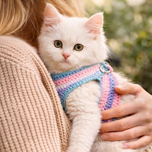Pode incluir: Um gatinho branco e fofo usando uma coleira de crochê em tons pastel. A coleira apresenta listras rosa, azul e roxa. O gatinho tem olhos verdes e está sendo segurado.