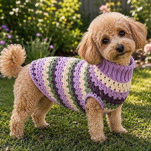 Puede incluir: Un perro pequeño y marrón claro con un suéter de ganchillo hecho a mano. El suéter presenta un patrón de rayas en tonos morado, verde y crema. El perro está de pie sobre hierba verde en un jardín, con flores y follaje al fondo.