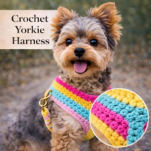 May include: A Yorkshire Terrier wearing a colorful, handmade crochet harness. The harness features stripes of pink, yellow, blue, and yellow. The text "Crochet Yorkie Harness" is displayed above the dog.