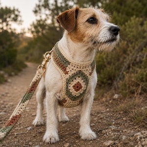 May include: A small dog with white and brown fur wearing a crocheted harness featuring a square motif in shades of cream, sage green, and rust brown. The harness is attached to a matching crocheted leash with a brass-colored metal swivel clip.