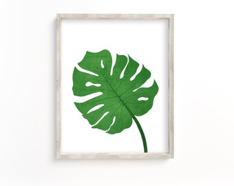 Monstera Print, Monstera Plant Wall Art, Plant Print, Plant Art Prints, Monstera Plant Poster, Leaf Printable Wall Art, Digital Download