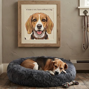 May include: A framed wall print featuring a beagle illustration and the text A house is not a home without a dog, positioned above a round, dark grey, plush, faux-fur pet bed containing a sleeping beagle dog with brown, black, and white fur.