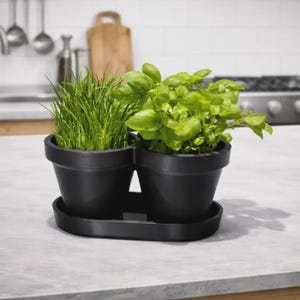 Puede incluir: Dos macetas negras, una con hierba verde y otra con albahaca, se asientan sobre una bandeja negra a juego. Las plantas están sobre una encimera gris clara en un entorno de cocina.