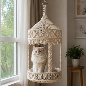 May include: A cream-colored macrame hanging cat bed featuring an intricate knotted design with a conical top, a circular base, and decorative scalloped edges. A fluffy, light-colored cat sits inside the suspended structure, which hangs from a metal ring.