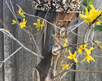 Handmade hanging bird feeder