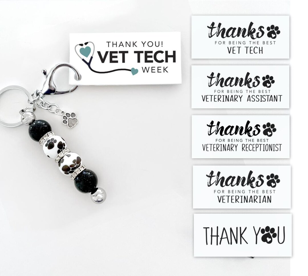 Key Chain Veterinary Vet Tech Week Staff Gift – Paw Print Silicone Beaded Keychain ...
