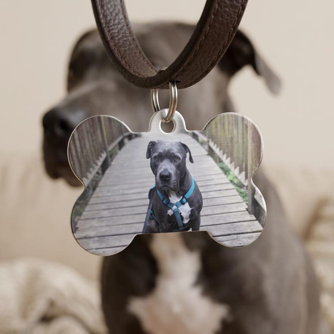 Pvc Dog Tag Personalized Dog Tag With Photo or Illustration – Printable on Both ...