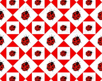 Rood lieveheersbeestje