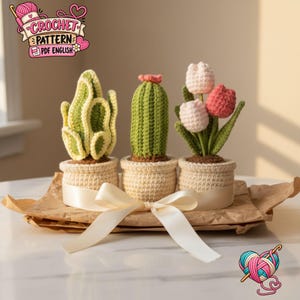 Peut inclure: Trois plantes en crochet en pot comprenant une succulente aux feuilles ondulées, un cactus cylindrique avec une petite fleur rose et un bouquet de trois tulipes roses et blanches. Chaque plante est dans un pot beige noué d'un ruban crème.