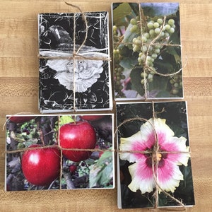 Originele, op maat ontworpen blanco kaarten met enveloppen – doordachte cadeaus voor elke gelegenheid – gewoon omdat!