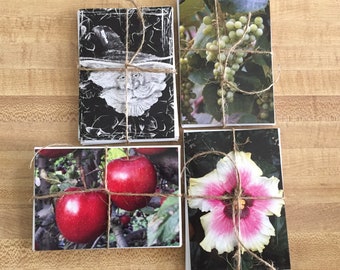 Original Custom Designed Blank Cards with Envelopes – Thoughtful Gifts for Any Occasion – Just BeCause!