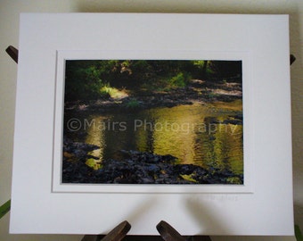 Green Gold Reflections Creek Stream Rocks Water Ferns, Fall Color, Original Photograph, Fine Art Photography matted signed 5x7 Giclée Print