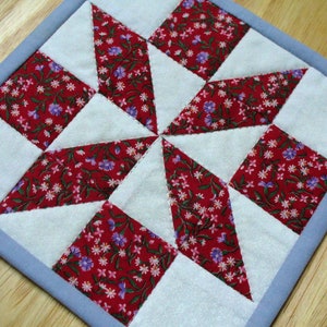 May include: A blue and white quilted potholder with a red and white floral pattern. The potholder is made of fabric squares sewn together in a star shape.