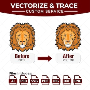 May include: A graphic showing a Vectorize & Trace custom service with a lion head illustration comparing a pixelated version labeled Before Pixel to a vector version labeled After Vector, followed by file icons for AI, PSD, SVG, PDF, JPG, DXF, and PNG.