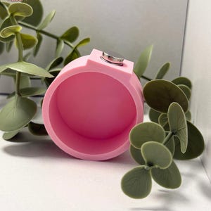 May include: A pink, cylindrical object with a silver magnetic disc on top. The object is surrounded by green artificial eucalyptus leaves. The background is white and light gray.
