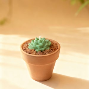 Puede incluir: Una pequeña maceta de color terracota contiene una vela verde con forma de suculenta. La vela se asienta sobre un lecho de material granular marrón, que imita la tierra. La maceta proyecta una sombra sobre la superficie clara.