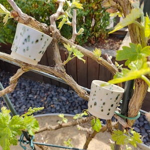 Peut inclure: Deux petits gobelets en céramique blanche, parsemés de taches vert foncé, sont posés sur des branches de vigne. Les tasses sont cylindriques avec un bord légèrement évasé. Le fond présente des feuilles vertes et une clôture en bois.