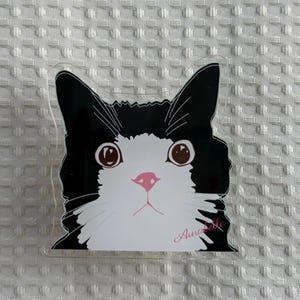Puede incluir: Decoración transparente en forma de gato, con una cara de gato en blanco y negro, ojos marrones grandes y una nariz rosa. El nombre del gato, "Annabelle", está escrito en rosa. El diseño es sencillo y de dibujos animados.