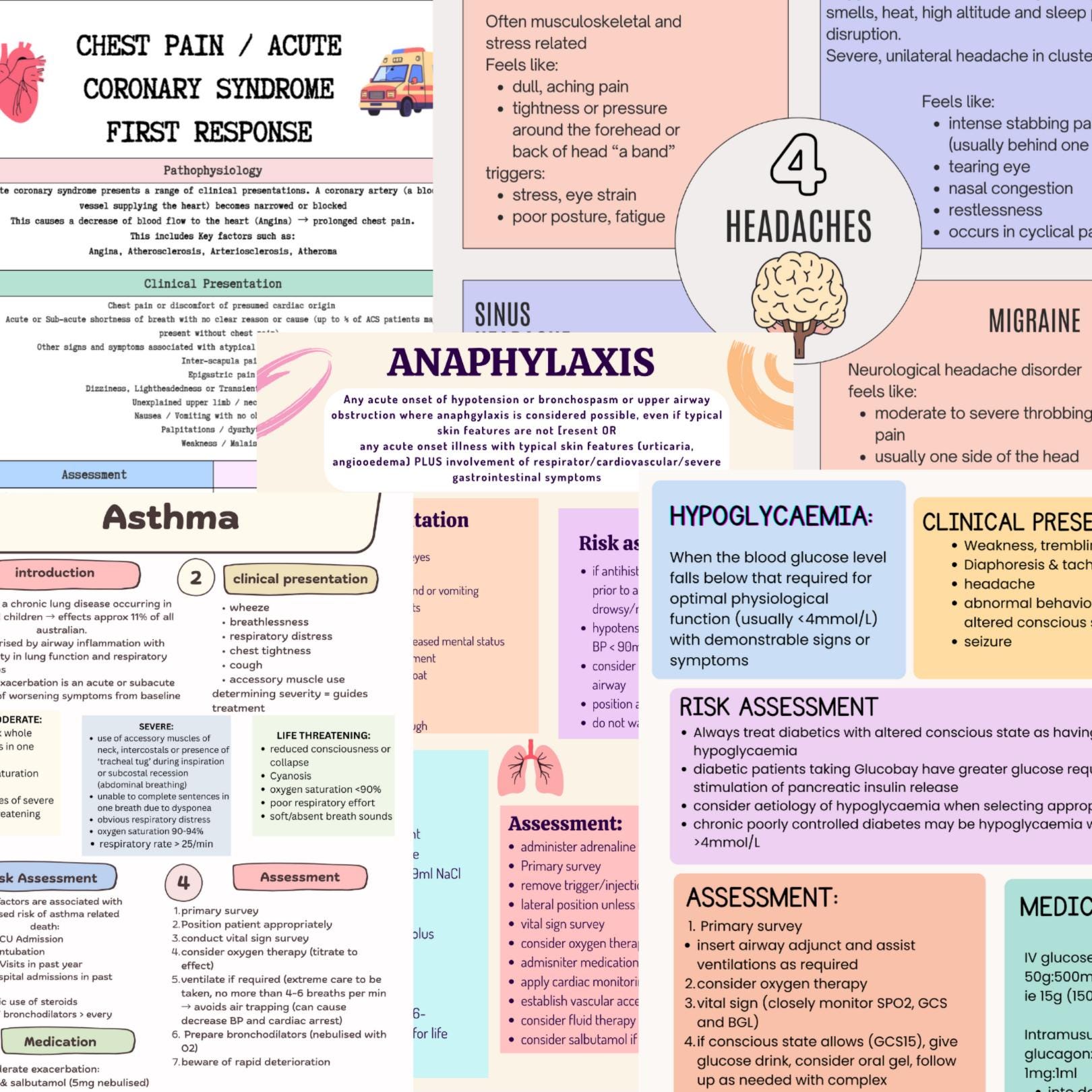 Sample Paranedics Clinical Practice Guidelines - Australia Paramedics - Etsy
