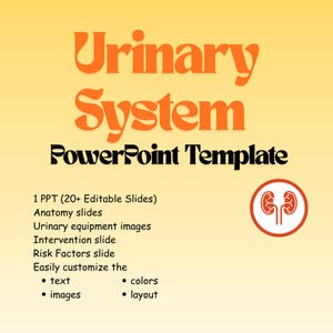 May include: A PowerPoint template titled Urinary System with orange text on a yellow gradient background. It includes 20+ editable slides featuring anatomy, urinary equipment, intervention, and risk factors, with customizable text, colors, and layout.