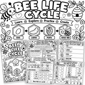 Könnte beinhalten: Ein schwarz-weißes Lernpaket über den Lebenszyklus der Biene. Die Seiten enthalten Illustrationen von Bienen, Bienenstöcken und Blumen mit Beschriftungen für die Stadien Ei, Larve, Puppe und erwachsene Biene sowie Arbeitsblätter zum Üben.