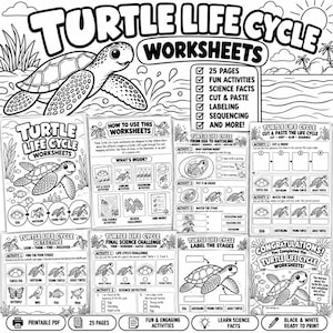 Könnte beinhalten: Ein schwarz-weißes, druckbares Arbeitsblatt-Set mit dem Titel Turtle Life Cycle Worksheets, das 25 Seiten mit pädagogischen Aktivitäten umfasst. Die Seiten enthalten Schildkröten-Illustrationen, Lebenszyklus-Diagramme, Ausschneide- und Klebeaufgaben, Beschriftungsübungen sowie wissenschaftliche Herausforderungen.