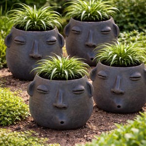 May include: Four dark gray ceramic face planters with closed eyes and open mouths, each filled with green plants. The planters are arranged in a garden setting with green foliage and brown soil.