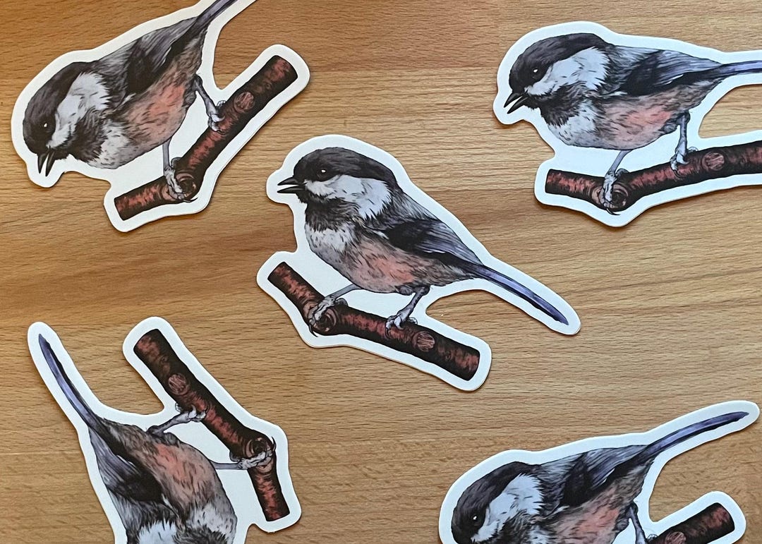 Black-capped Chickadee Die-cut Vinyl Sticker - Etsy