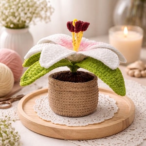 Crochet flower pots, Amigurumi stuffed decorative accessories, craft accessories