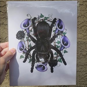 May include: A print featuring a black tarantula surrounded by purple calla lilies, black roses, and green vines. The artwork is held in a clear plastic sleeve.