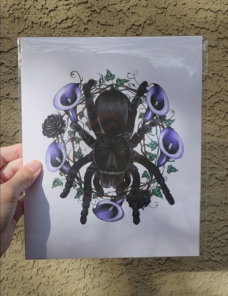 May include: A print featuring a black tarantula surrounded by purple calla lilies, black roses, and green vines. The artwork is held in a clear plastic sleeve.