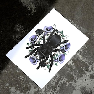 May include: A detailed illustration of a black tarantula surrounded by purple calla lilies, black roses, and green vines. The artwork is on a white rectangular paper, set against a dark, textured background. The spider is the focal point of the design.