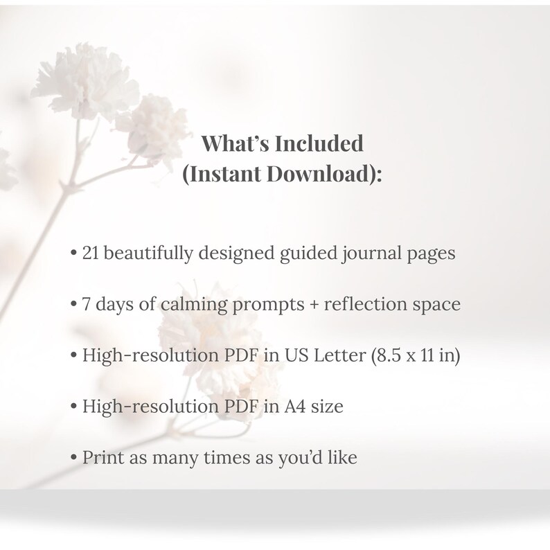 7 Day Reset for Emotional Labor and Mental Load, Printable Journal for Burnout Relief, Self Care Workbook, A4 and US Letter, The Quiet Load™ image 2