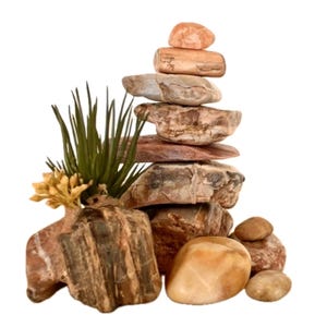 May include: A stack of smooth, multi-colored river stones in shades of tan, brown, and peach, arranged vertically. A small green air plant with thin, pointed leaves and a cluster of pale yellow buds is nestled at the base of the stone tower.