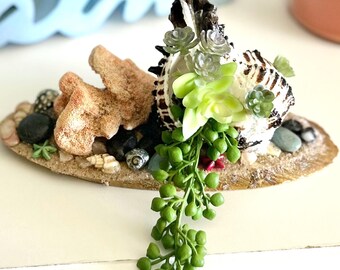 May include: A decorative seashell arrangement featuring a large seashell, coral, and small green plants. The arrangement sits on a small, oval base with pebbles and seashells. A light blue "Calm" sign is in the background.
