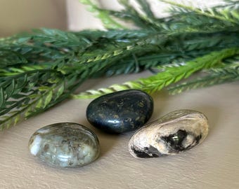 May include: Three polished stones in shades of green, black, and cream. The stones have smooth, rounded shapes and varying patterns. Green and cream-colored faux foliage is in the background.