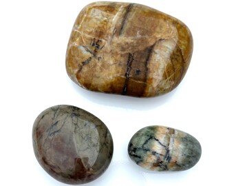 May include: Three polished stones in shades of brown, green, and gray. The largest stone is a warm brown with darker brown veining. The other two stones are smaller, with one being a mix of brown and gray, and the other green and brown.