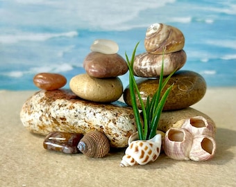 May include: A collection of smooth, multi-colored river stones stacked in two columns, accompanied by various seashells, including a spiral shell containing a small green plant, and a cluster of barnacle shells on a flat, neutral surface.