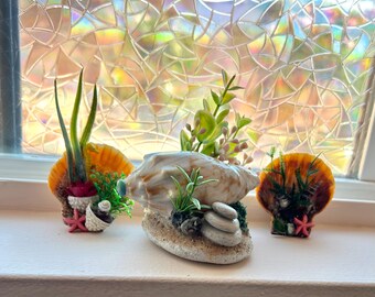 May include: Three seashell planters with faux greenery and small rocks. The planters are arranged on a white windowsill in front of a window with a decorative film. The shells are orange and white, and the greenery is green.