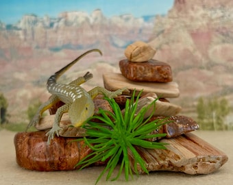 May include: A detailed shot of a small lizard toy with a green and yellow color scheme, posed on a stack of rocks and wood. A small green plant is in the foreground. The background features a landscape painting of a canyon.